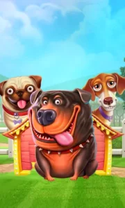 The Dog House