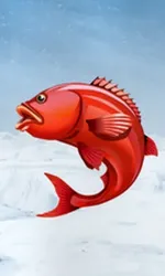 Ice Fishing