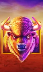 Buffalo King